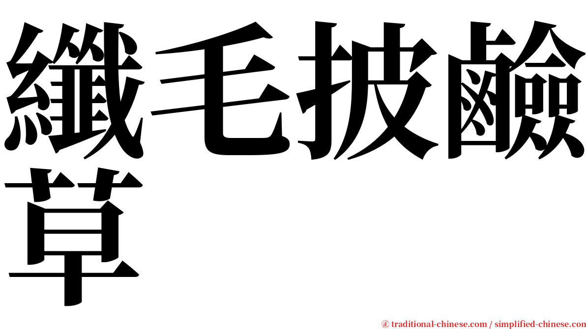 纖毛披鹼草 serif font