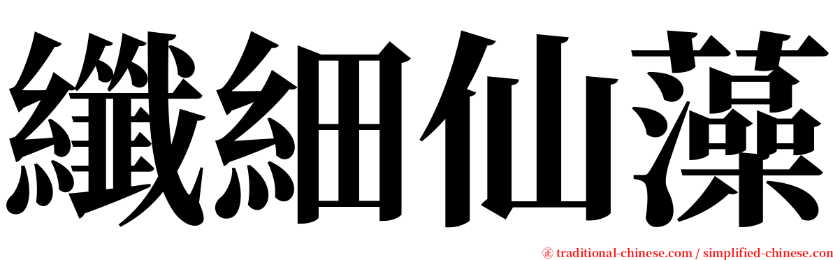 纖細仙藻 serif font