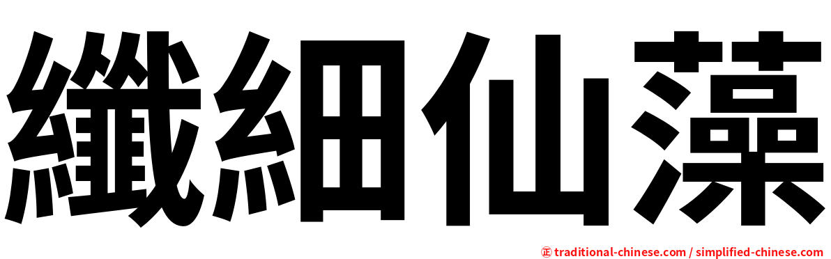 纖細仙藻