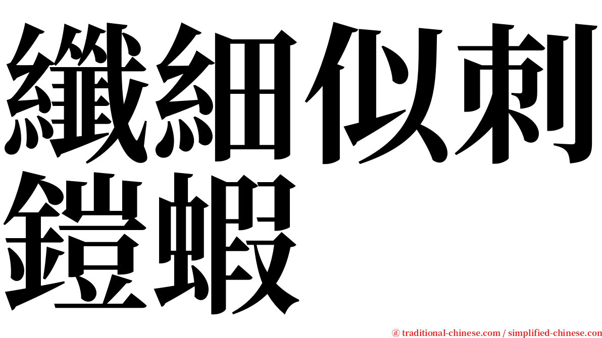 纖細似刺鎧蝦 serif font