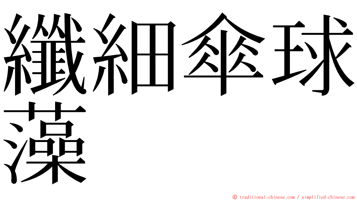 纖細傘球藻 ming font