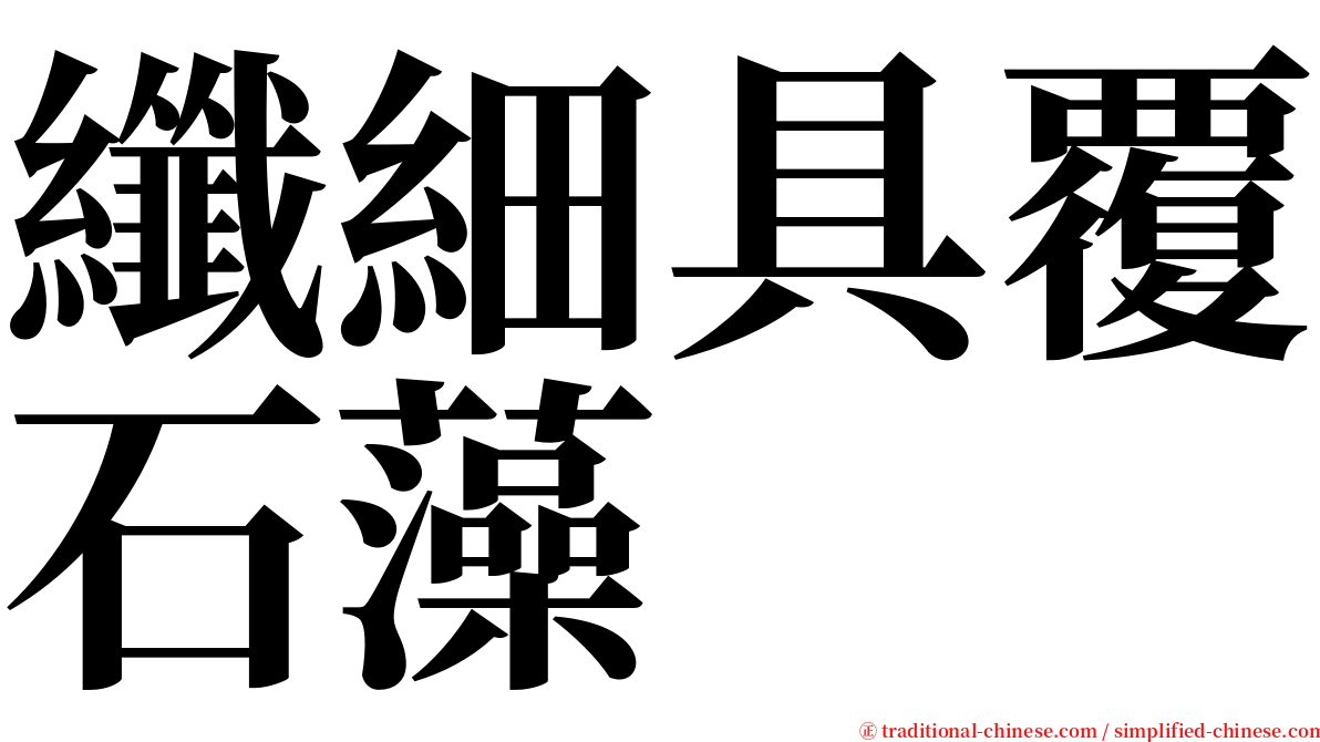 纖細具覆石藻 serif font