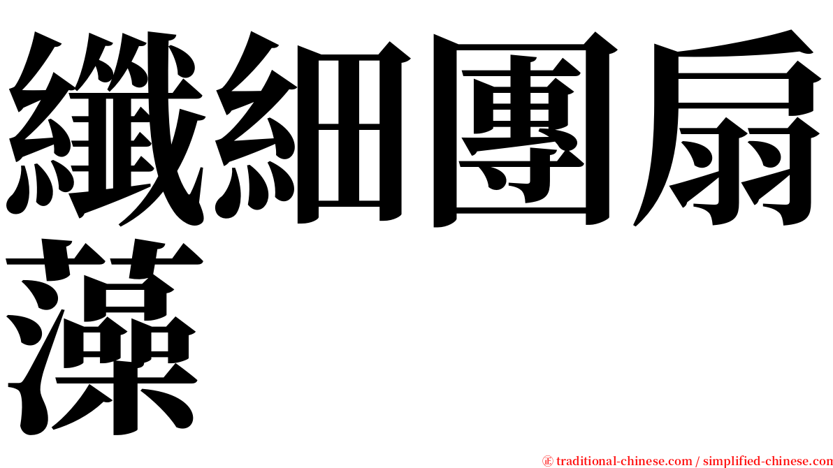 纖細團扇藻 serif font