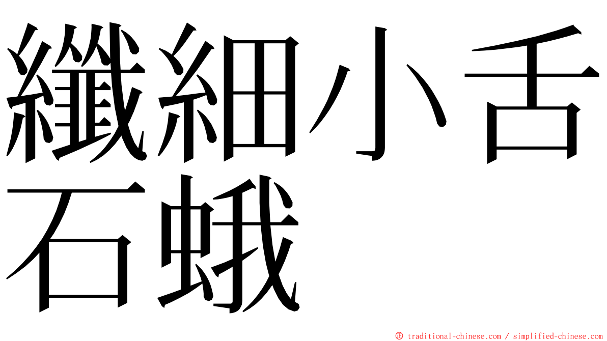 纖細小舌石蛾 ming font