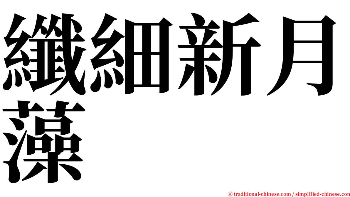 纖細新月藻 serif font