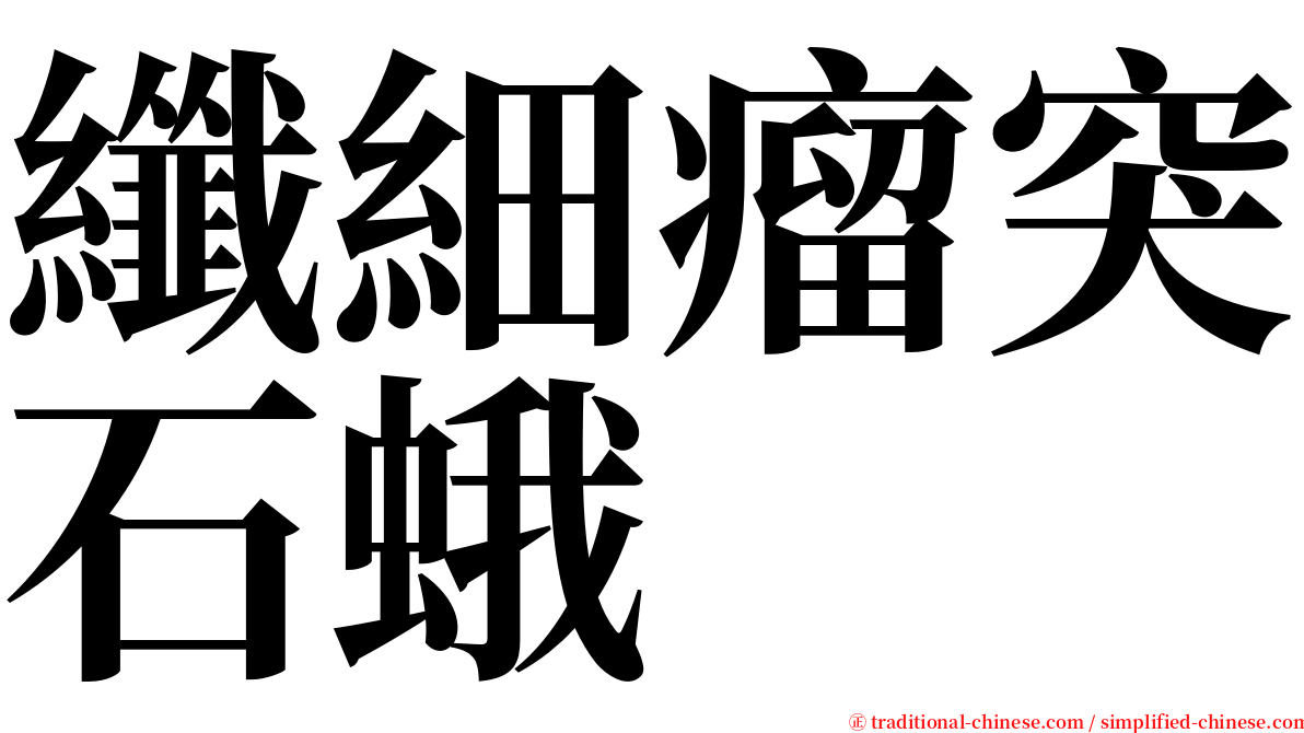 纖細瘤突石蛾 serif font