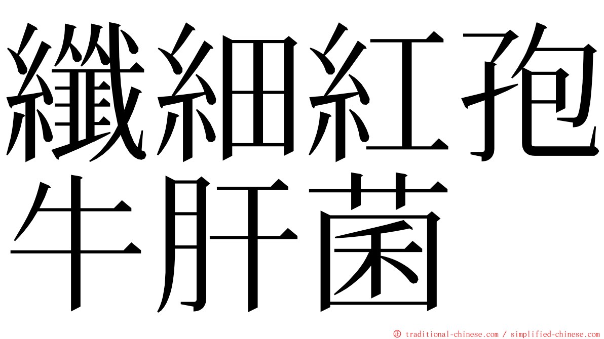 纖細紅孢牛肝菌 ming font