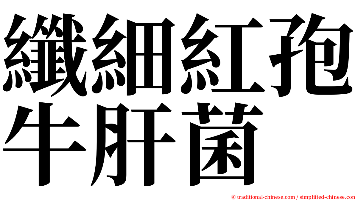 纖細紅孢牛肝菌 serif font