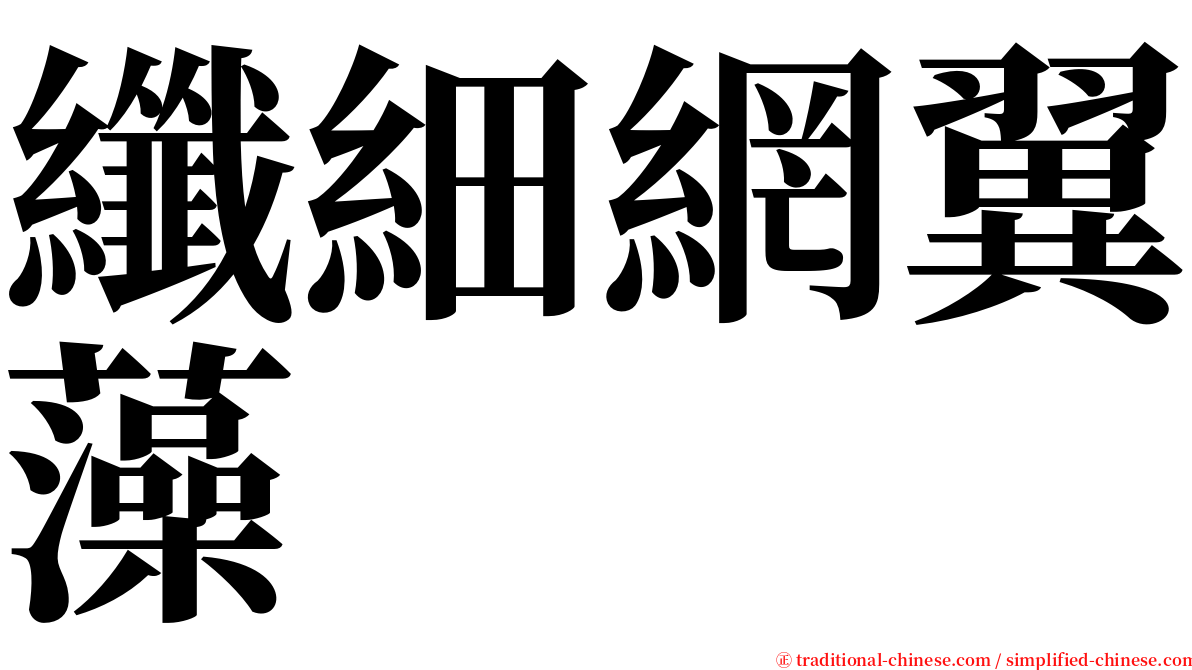 纖細網翼藻 serif font