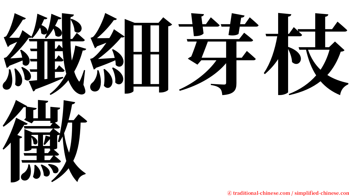 纖細芽枝黴 serif font