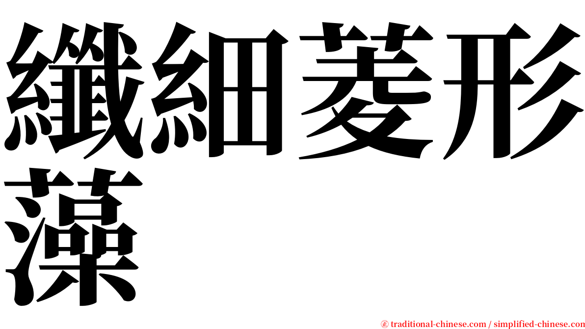 纖細菱形藻 serif font