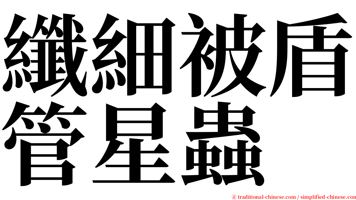 纖細被盾管星蟲 serif font