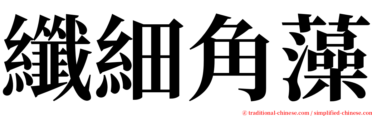 纖細角藻 serif font