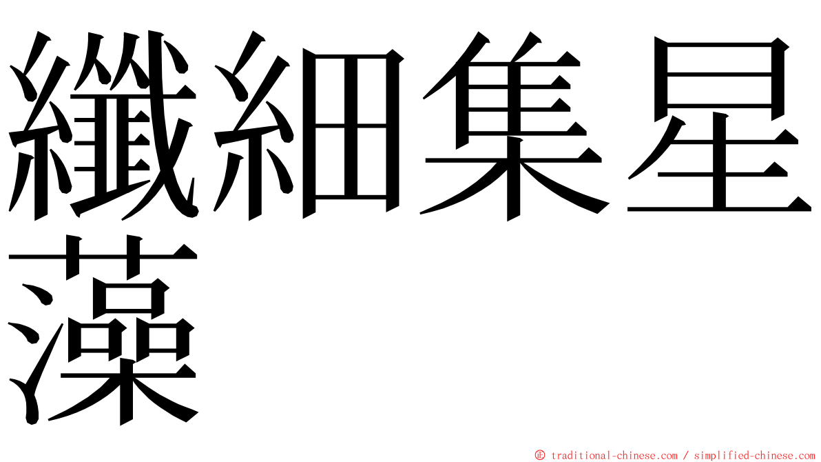 纖細集星藻 ming font