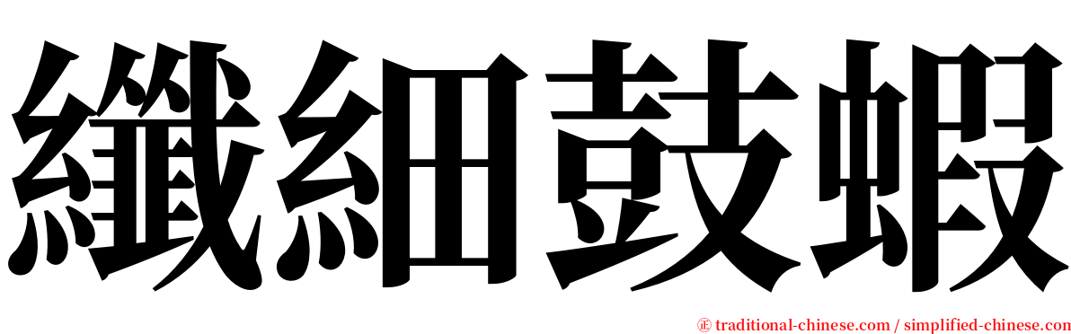 纖細鼓蝦 serif font