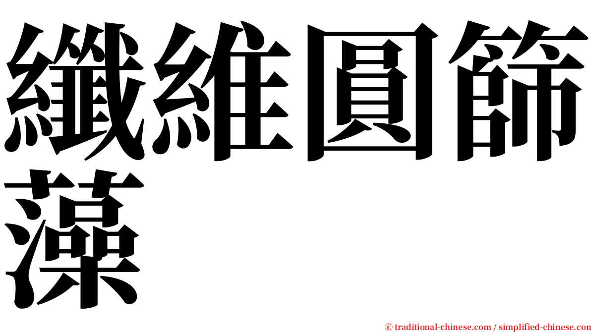 纖維圓篩藻 serif font