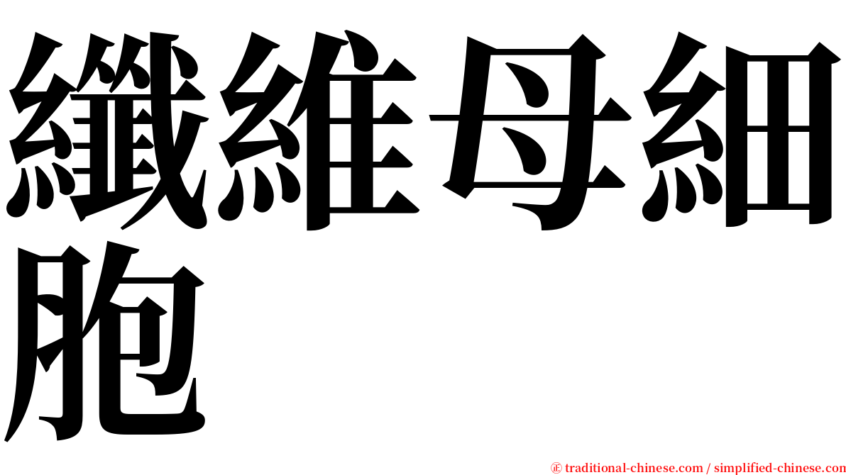 纖維母細胞 serif font