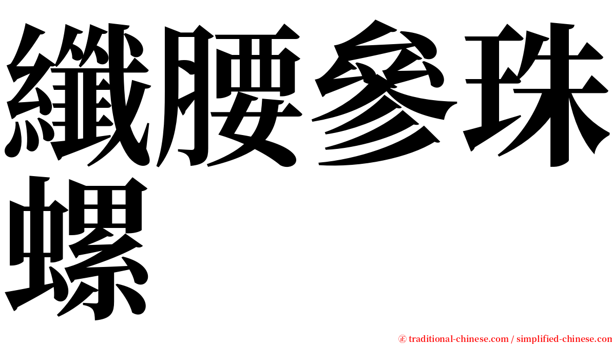 纖腰參珠螺 serif font