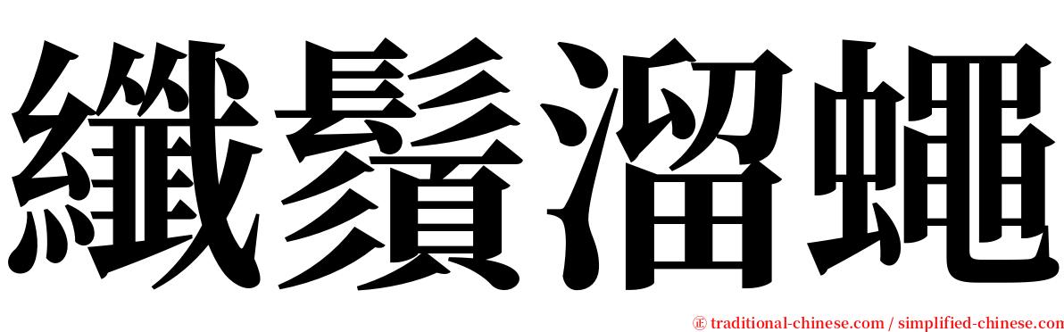 纖鬚溜蠅 serif font