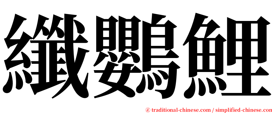 纖鸚鯉 serif font