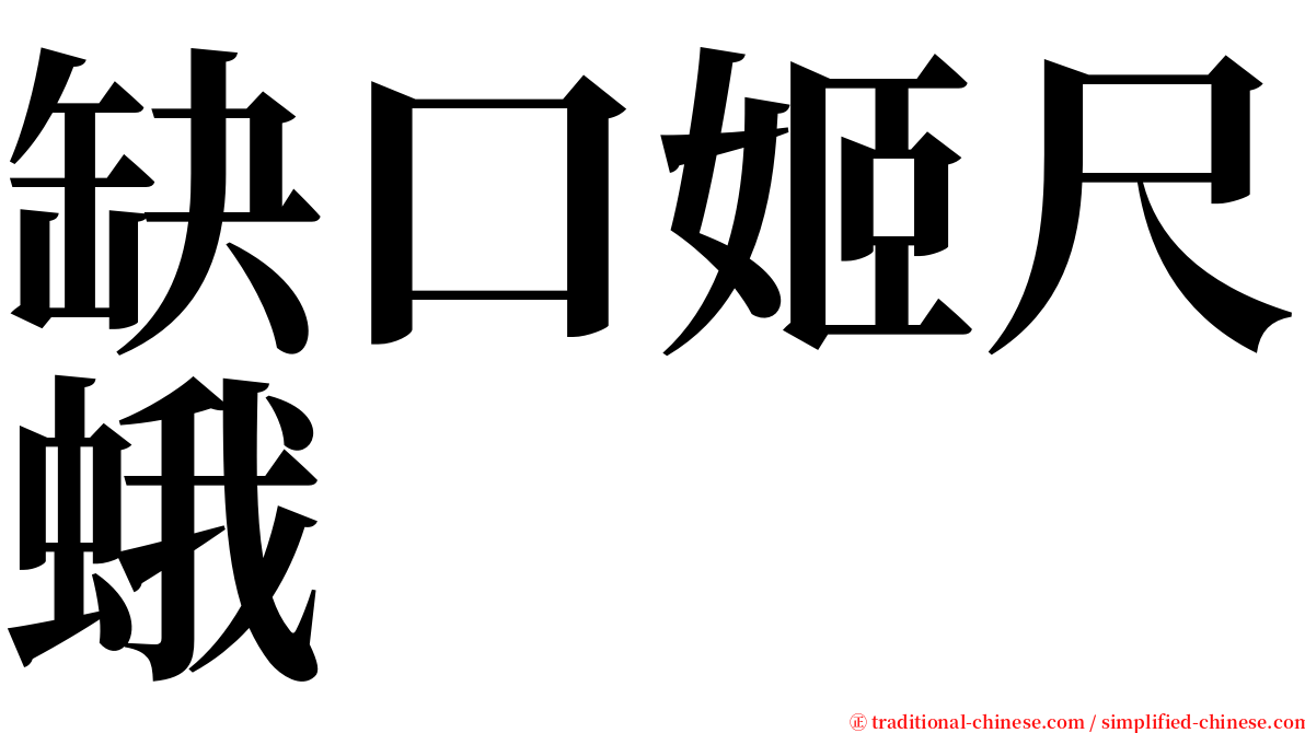 缺口姬尺蛾 serif font