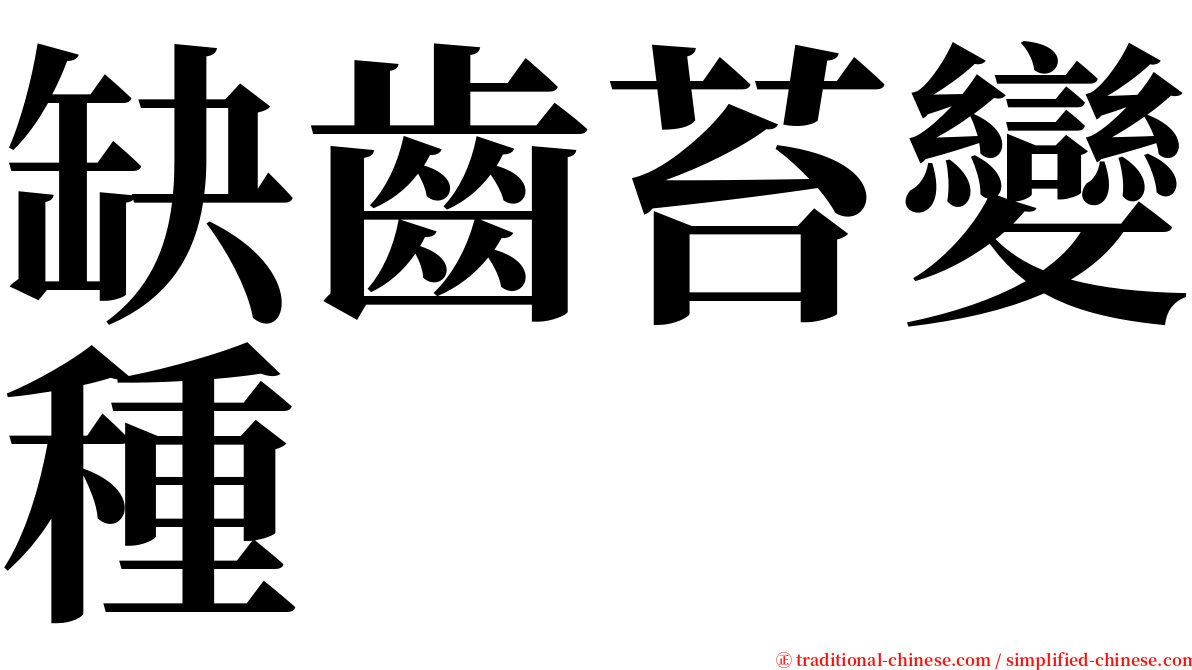 缺齒苔變種 serif font