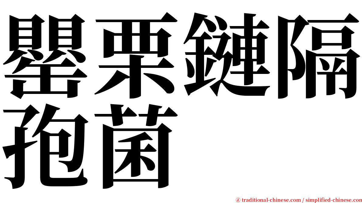 罌栗鏈隔孢菌 serif font