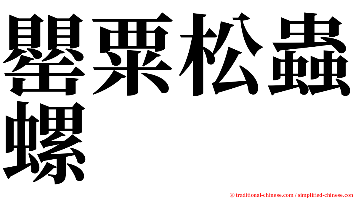 罌粟松蟲螺 serif font