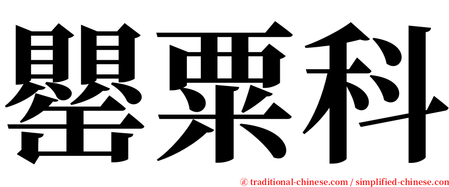 罌粟科 serif font