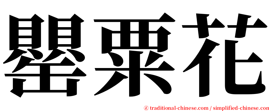 罌粟花 serif font