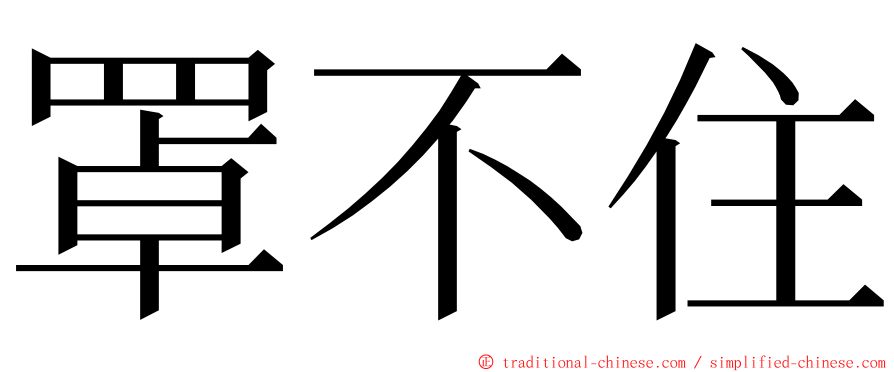 罩不住 ming font