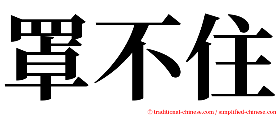 罩不住 serif font