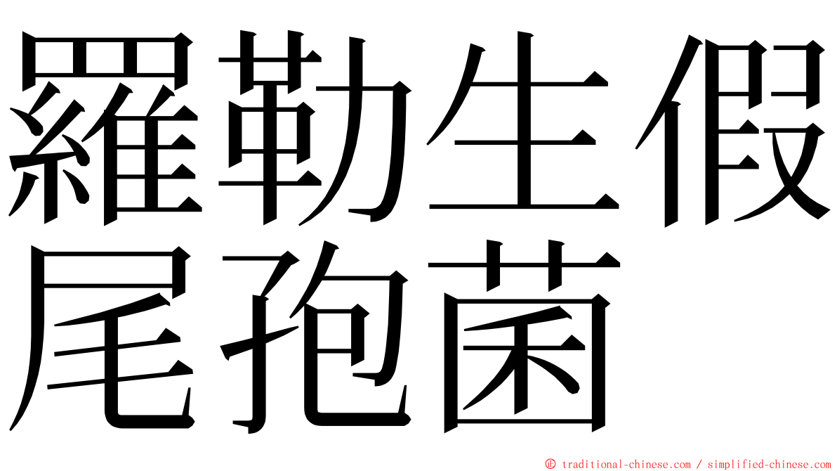 羅勒生假尾孢菌 ming font