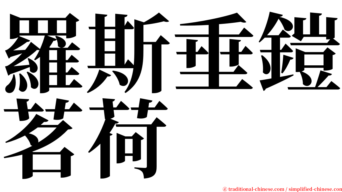 羅斯垂鎧茗荷 serif font