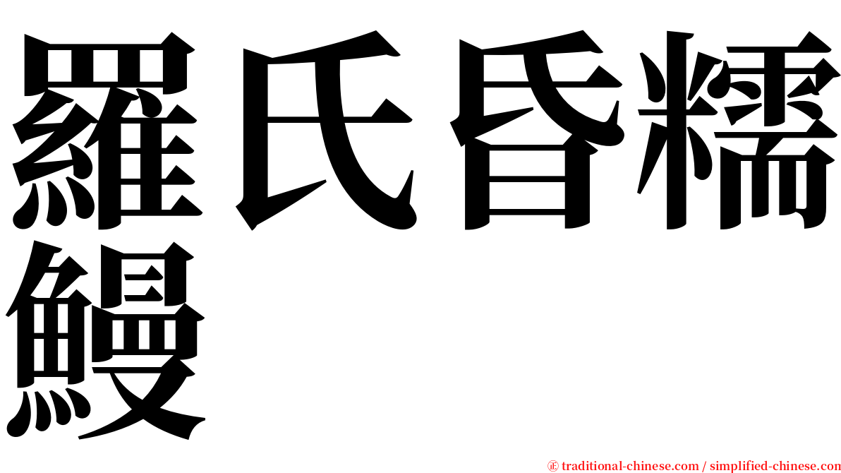 羅氏昏糯鰻 serif font