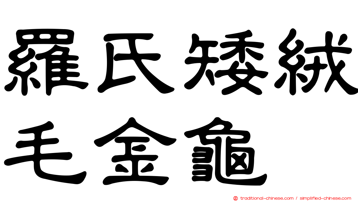 羅氏矮絨毛金龜