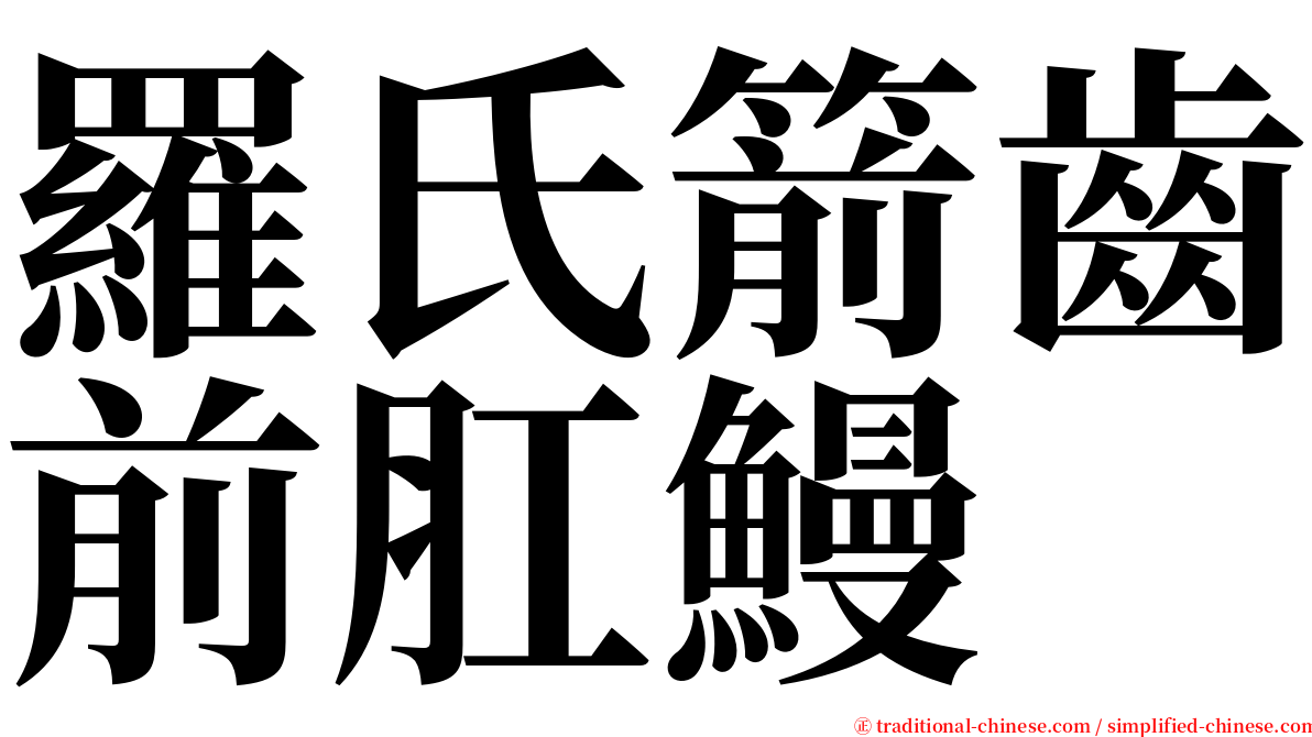 羅氏箭齒前肛鰻 serif font