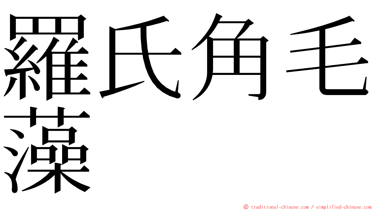羅氏角毛藻 ming font