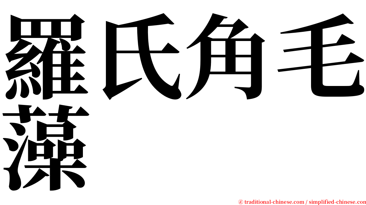 羅氏角毛藻 serif font