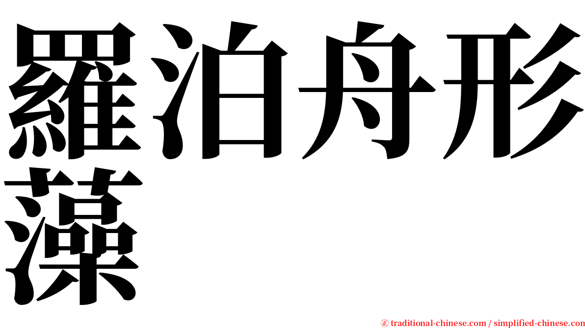 羅泊舟形藻 serif font