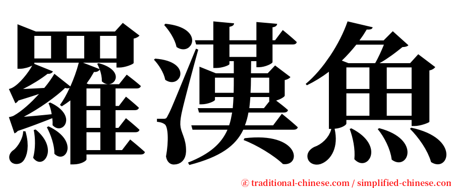 羅漢魚 serif font