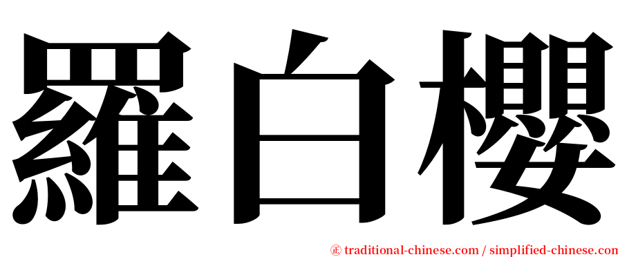 羅白櫻 serif font