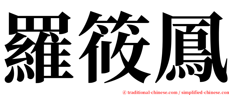 羅筱鳳 serif font