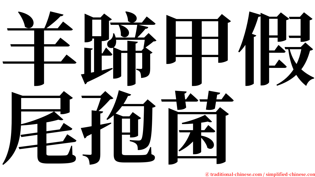 羊蹄甲假尾孢菌 serif font