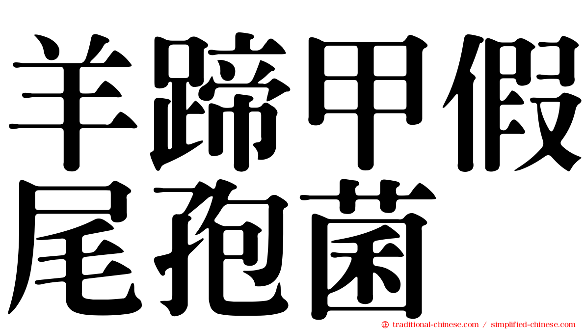 羊蹄甲假尾孢菌
