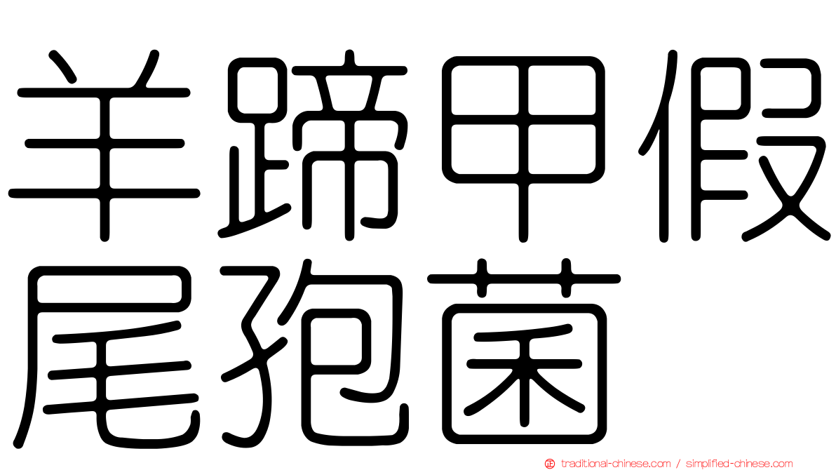 羊蹄甲假尾孢菌