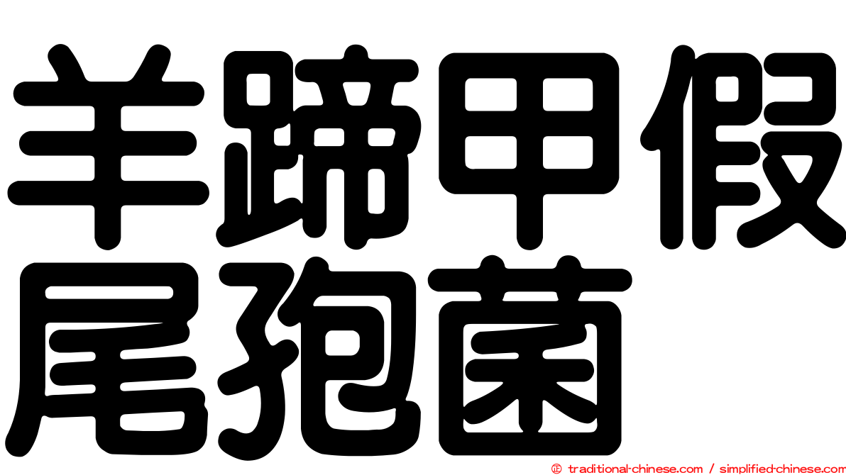 羊蹄甲假尾孢菌