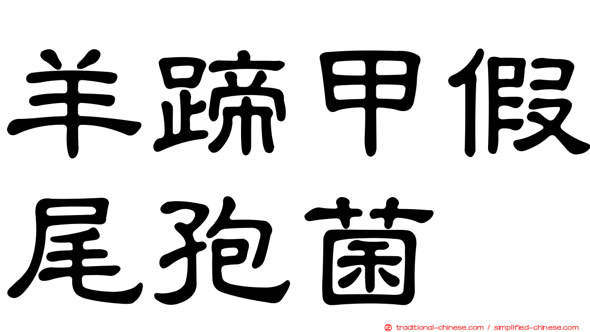 羊蹄甲假尾孢菌