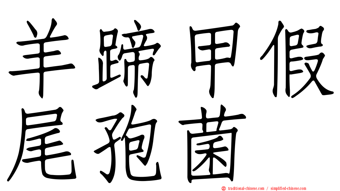 羊蹄甲假尾孢菌