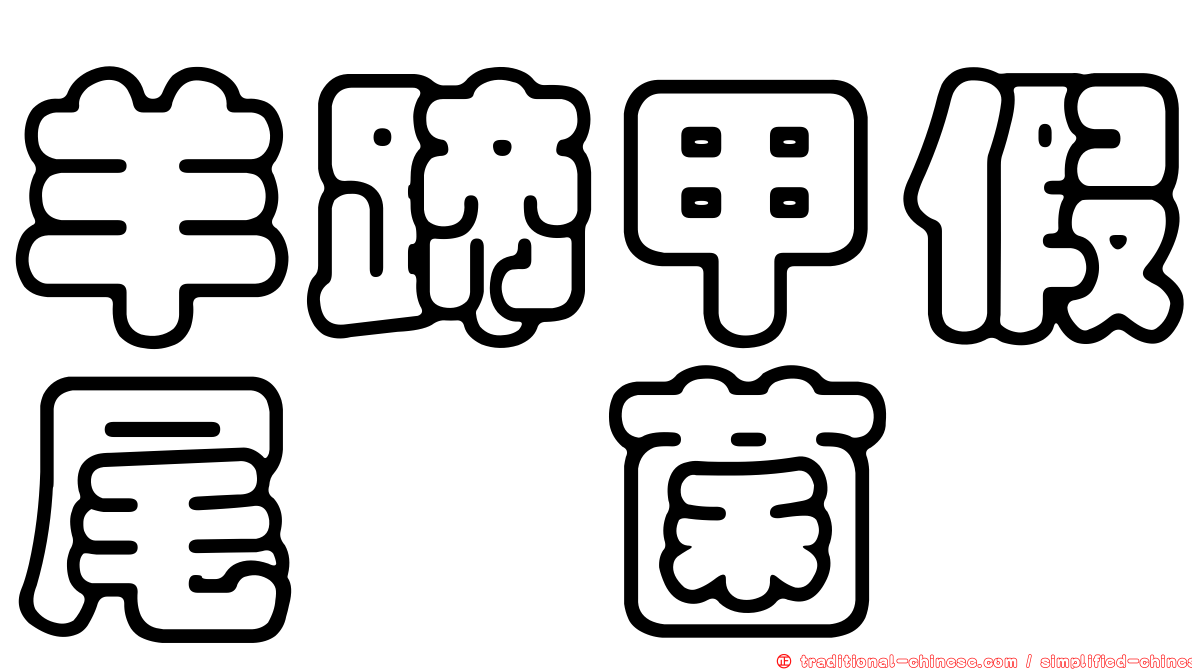 羊蹄甲假尾孢菌